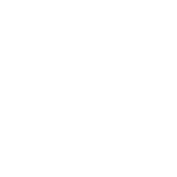 Gesicht